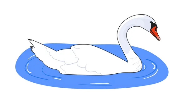 Прекрасный Белый Лебедь Воде Векторная Иллюстрация — стоковый вектор