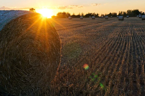 Ein Strohhut Auf Einem Feld Und Der Sonnenuntergang Sommer — Stockfoto