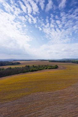Alanıyla, orman manzara ve bahar gökyüzü
