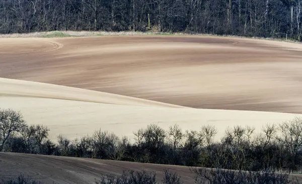 Campi e alberi in primavera — Foto Stock