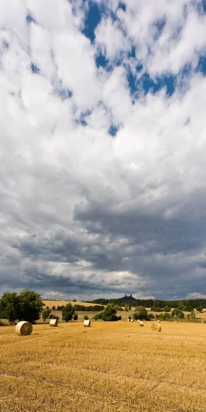 Пейзаж с полем и Тройский замок летом, Чехия — стоковое фото