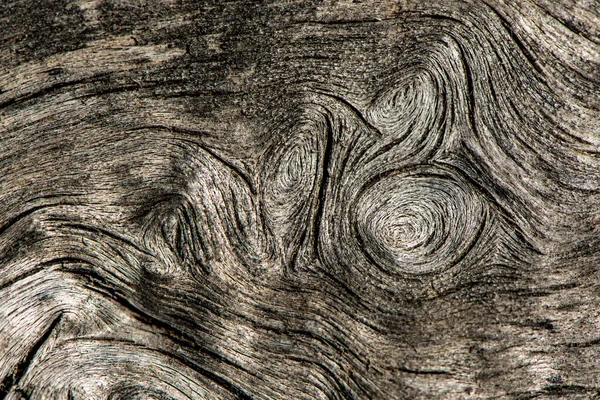 古い木の幹のクローズアップショット 抽象的な背景 — ストック写真