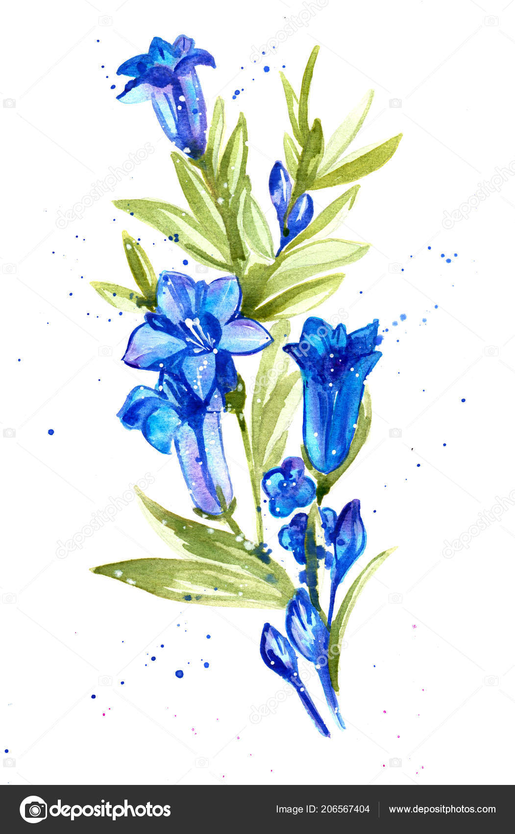 Bluebell Plant Flowers Blue Watercolor Drawing Field Stock Photo Image By C Lyalya Savushkina Bk Ru
