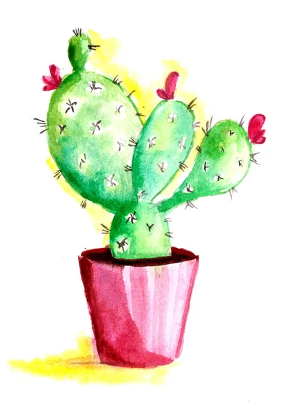 green cactus in a pot watercolor drawing