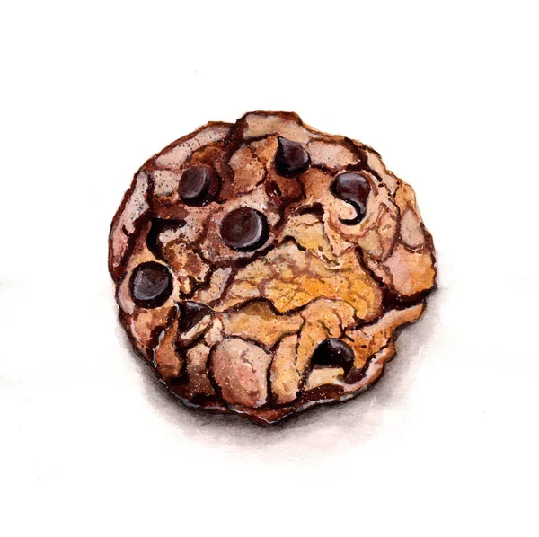 oat cookies with chocolate watercolor drawing