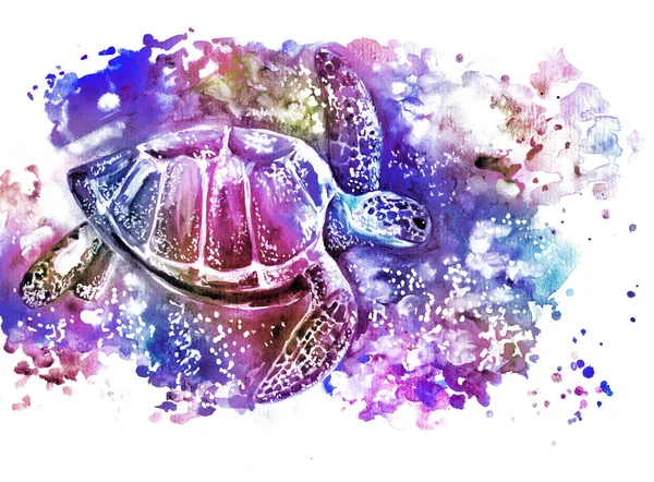 turtle swimming in water watercolor drawing