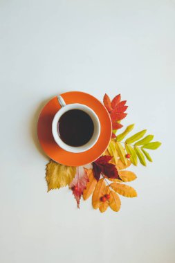 Sonbahar havası. Sunum için resimler.