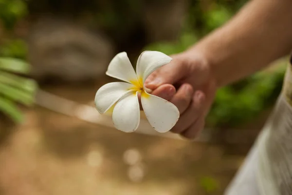 white flower in hand