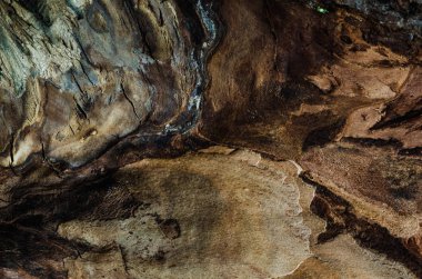 Ahşap doku, kül ağaç closeup çekirdek