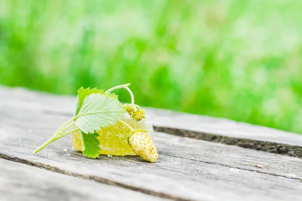 Fraise Blanche Aux Feuilles Vertes Morceau Confiture Jaune Sur Une — Photo