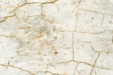 Çatlaklar yakın kadar arka plan doku ışık taş yüzeyi kaplı