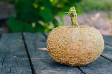 Olgun Turuncu kabak yeşil bir arka plan üzerinde eski gri ahşap masa