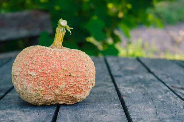 Mogen Orange Pumpa Gammal Grå Träbord Trädgården — Stockfoto