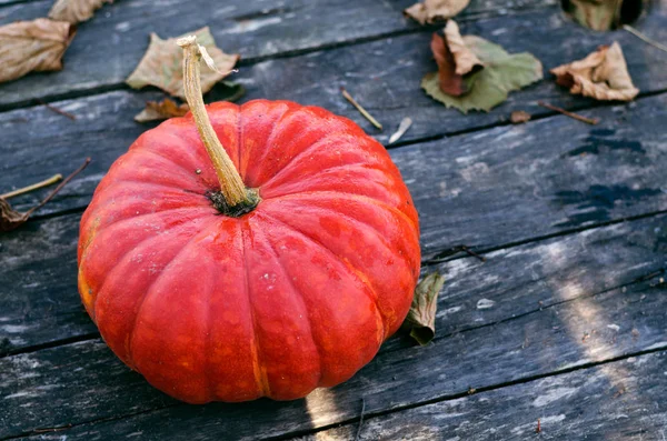 Ljusa Orange Pumpa Gammal Grå Träbord Med Torra Hösten Lämnar — Stockfoto