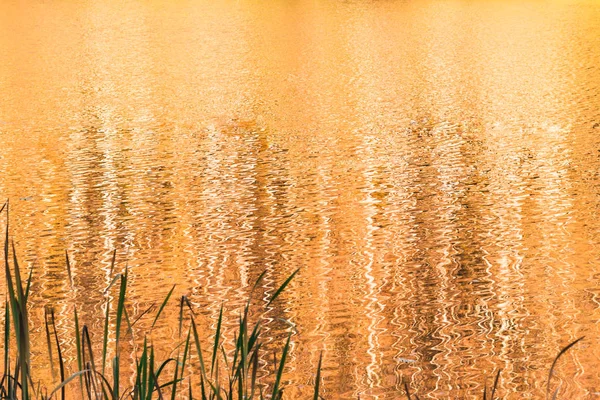 Altın rengi su göl günbatımı, yumuşak odak