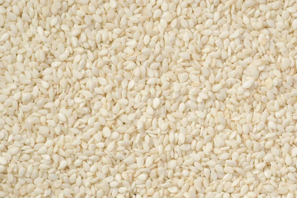 White Peeled Sesame Seeds Close Background Texture — Stock Photo, Image