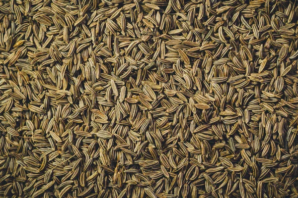 Семена Тмина Крупным Планом Фоном Текстурой — стоковое фото