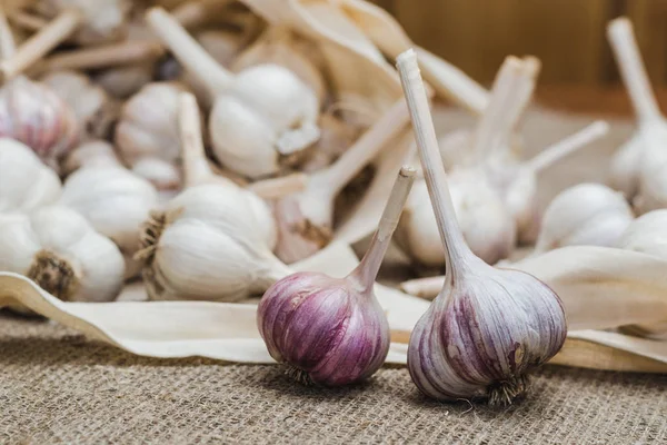 Bulbos Ajo Orgánico Natural Granja Una Bolsa Algodón Esparcida Una — Foto de Stock