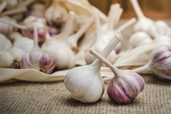 Bulbos Ajo Orgánico Natural Granja Una Bolsa Algodón Esparcida Una — Foto de Stock