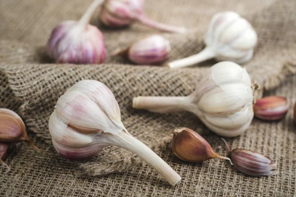 Bulbos Dientes Ajo Orgánico Natural Una Estera Lino — Foto de Stock