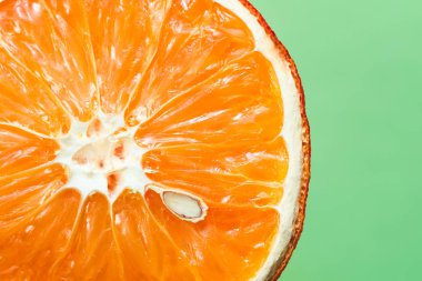 Açık yeşil arka planda kemik yakın çekim ile güzel kurutulmuş turuncu