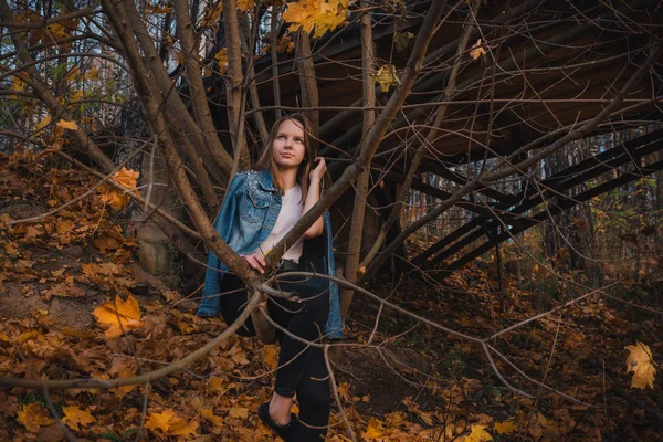 Beautiful Young Girl Long Dark Brown Hair Sits Tree Branch — Stock Photo, Image