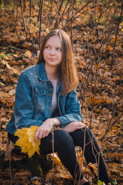 Kot ceketli güzel genç kız, sonbahar parkında sarı akçaağaç yapraklarını elinde tutuyor.