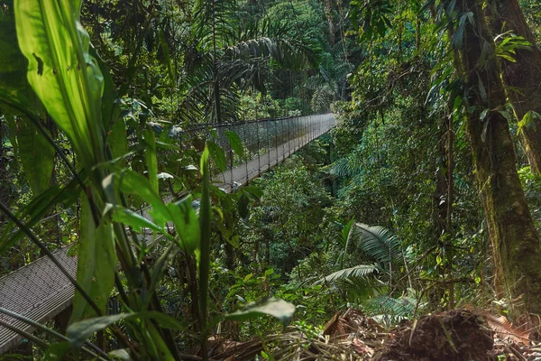Pennsula de la Osa bölgeye bir asma köprü Baha Drake Orta Amerika'nın Kosta Rika yaklaşık bir yoğun yeşillik bölgedeki bir yol metal bağlantıların yapılmış. Hiçbir yerde daha fazla adrenalin korku veya yükseklik fobisi ekler