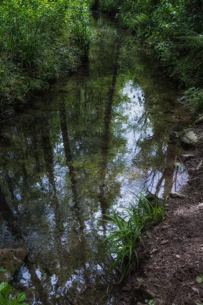 Ağaçların üzerinden İspanya bazı gökyüzü gösterilen yeşillik tarafından çevrili küçük bir nehir yansıması