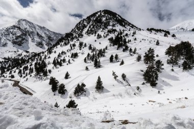Catalonia(spain) kuzeyinde, iki küçük zirvelerinde kar yağışı nedeniyle kış sezon sonra beyaz boyalı. Fırtına ve güçlü ol çam ağaçları hayatta
