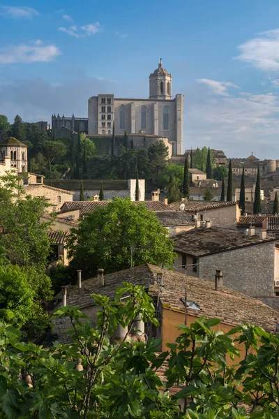 Una Mezcla Entre Templo Principal Gerona Algo Naturaleza Entre Casas — Foto de Stock