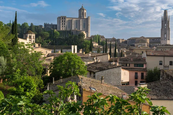 Saint Mary\'s temple & Saint Felix tower historic buildings of Gerona together in the same picture from an advantageous position with some trees at the left side & cumulus above