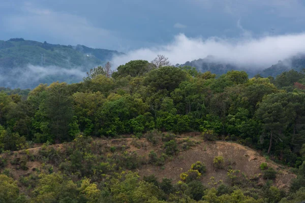 Bir bahar kırsal bir İspanyol konumda vurdu. Bir bildiri bir gelen fırtınanın dağda parçası yiyip bitiren sis.