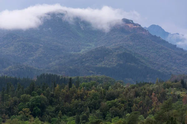 Uma Noite Mística Uma Floresta Catalã Norte Espanha Pouco Antes — Fotografia de Stock