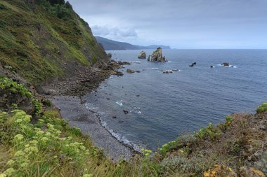 Bir atlantic beach Dağları yakın bir deniz manzarası bol yeşillik, bahar sezonu İspanya Bask Ülkesi '