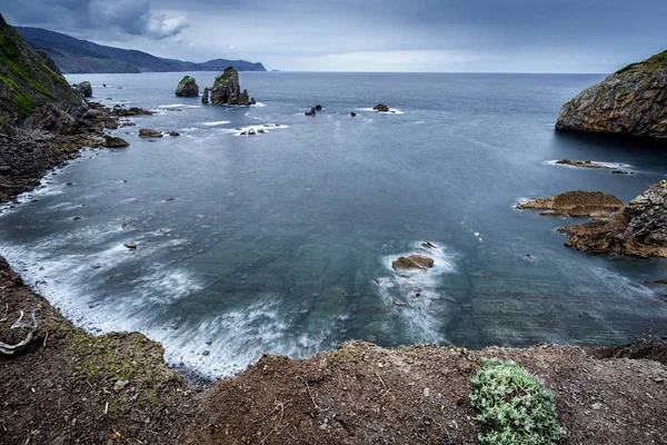 Cena Fria Panorâmica Uma Costa Rochosa Basca Com Algumas Plantas — Fotografia de Stock