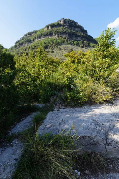 Katalonya, İspanya mavi gökyüzü altında te altındaki küçük bir dağ bitki örtüsü ile çevrili taş yol