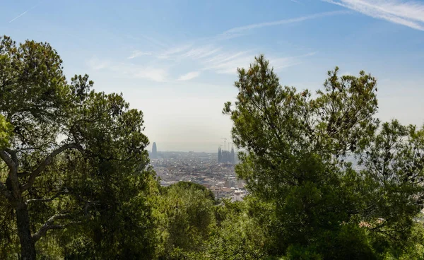 Ağaçları kısmen İspanyol Barcelona şehir panoraması açık bahar sabah gizle.