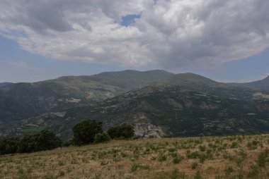 Portakal alan, bazı ağaçlar ve dağlar bulutlar ve tam bir gökyüzü altında döşeme Esterri d'Aneu, İspanya