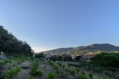 Ön plan ve bir köy artı sabah mavi gökyüzüne Amer, İspanya ilk ışıklarıyla alma dağlar gölgeli küçük asma plantasyon