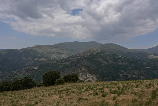 Portakal alan, bazı ağaçlar ve dağlar bulutlar ve tam bir gökyüzü altında döşeme Esterri d'Aneu, İspanya