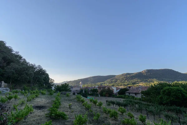 Ön plan ve bir köy artı sabah mavi gökyüzüne Amer, İspanya ilk ışıklarıyla alma dağlar gölgeli küçük asma plantasyon