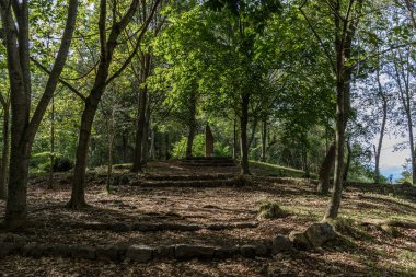 ağaçlar arasında bir monolit için merdiven