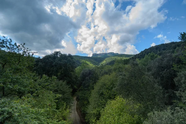 bir dağa ağaçlar arasında yol