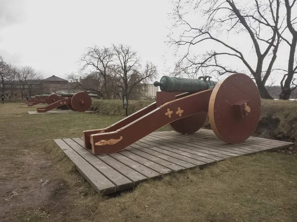 Row of ancient cannons in a field — Stock Photo, Image