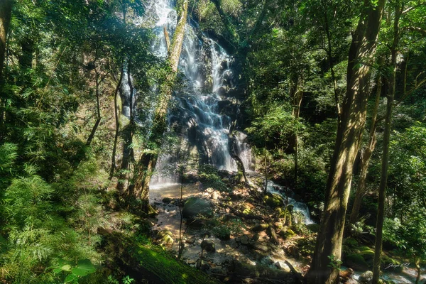Volcan de la Vieja Milli Parkı 'nda gizli şelale