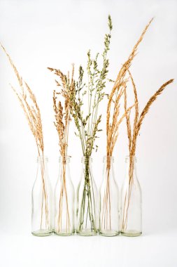 Bitkisel otların cam şişelerde beyaz arka plan üzerinde ayarlayın.