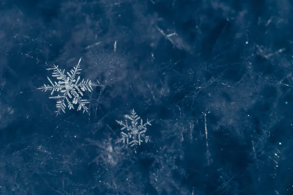 Ano Novo Natal Abstrato Fundo Gelado Nevado Com Flocos Neve — Fotografia de Stock