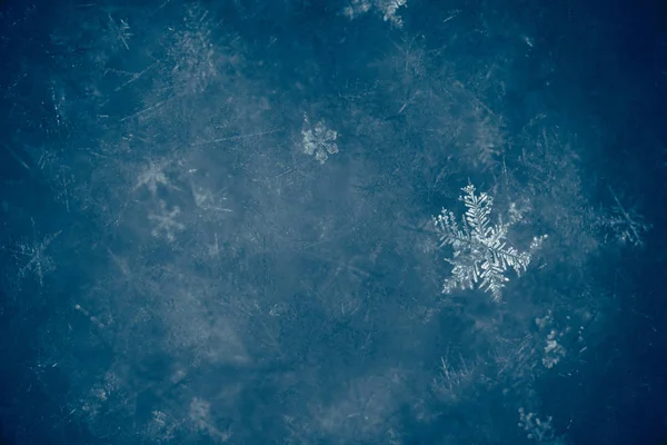 Año Nuevo Navidad Abstracto Fondo Nevado Helado Con Verdaderos Copos Imagen De Stock