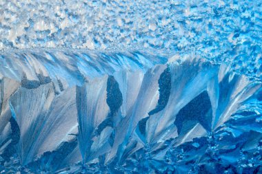 Yeni yıl ve Noel buzlu karlı arka plan gerçek buz kristalleri makroda soğuk mavi tonları ile